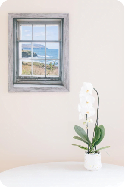 Window next to an orchid overlooking the ocean coast.